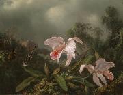 Martin Johnson Heade Jungle Orchids and Hummingbirds Germany oil painting artist